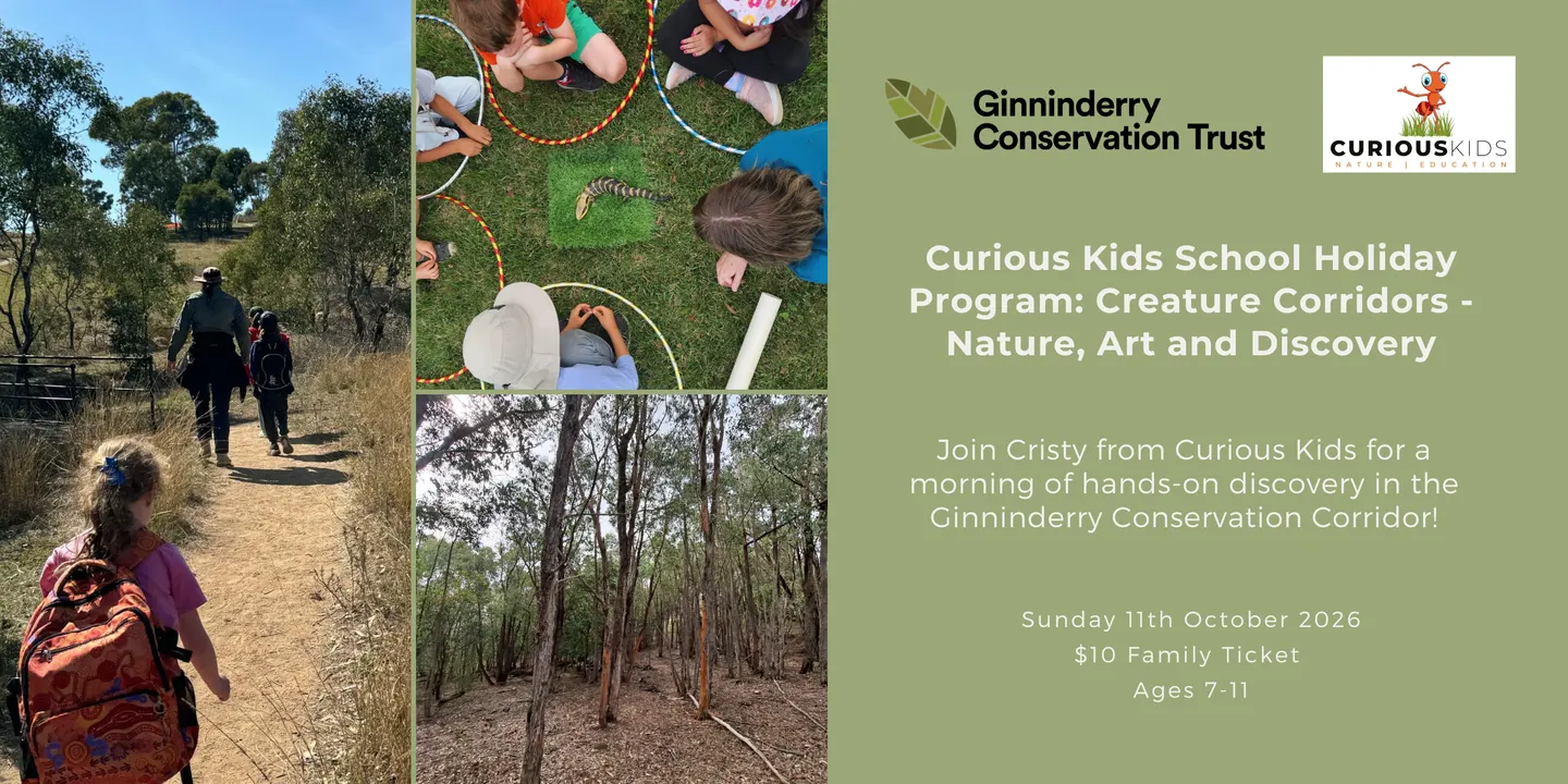 Curious Kids School Holiday Program: Creature Corridors - Nature, Art and Discovery
