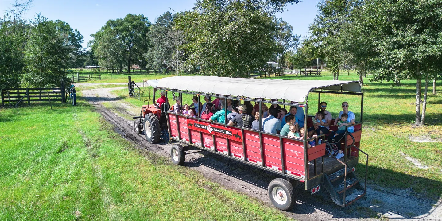 Family Farm Fun Day 10/10/26