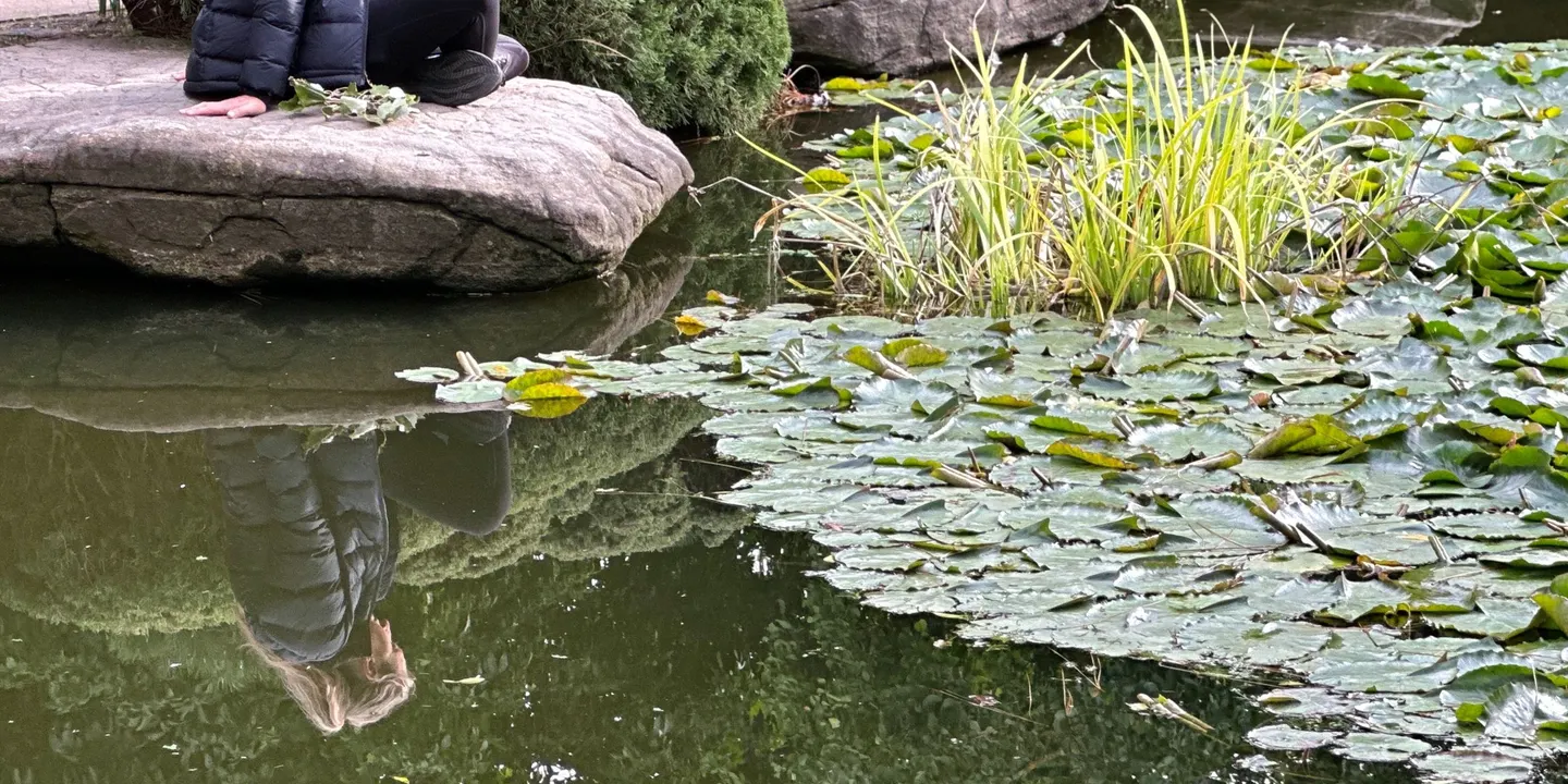 Seeding Creative Ideas at Himeji Gardens