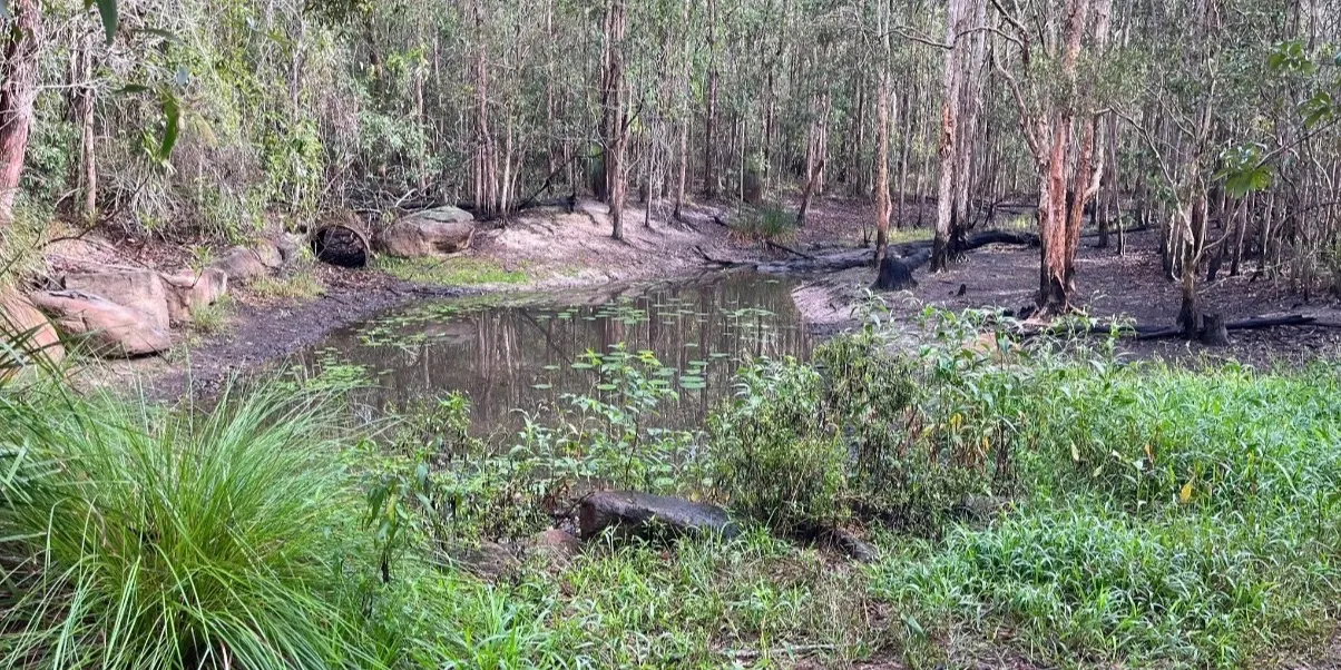 BRISBANE LAUNCH WEEKEND - Tooheys Forest Park Loop - Moderate 7.6km