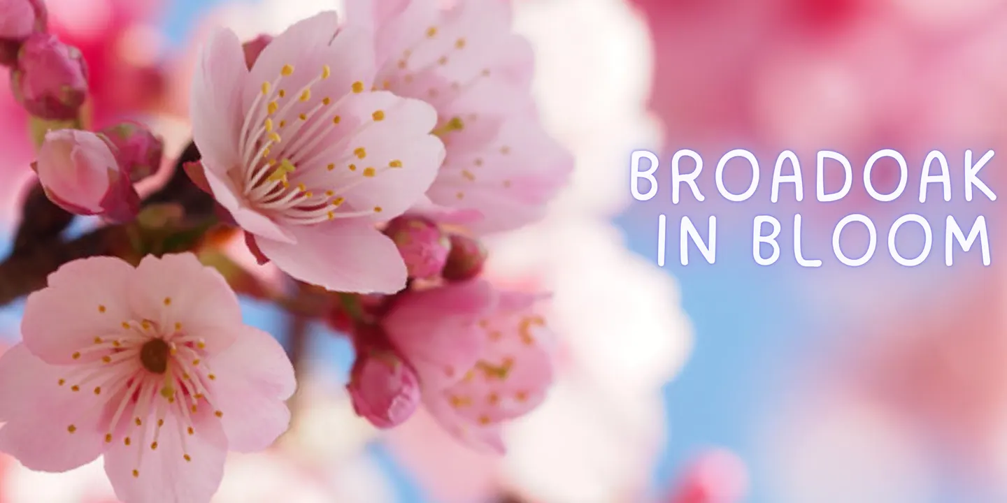 Broadoak in Bloom Garden Tour