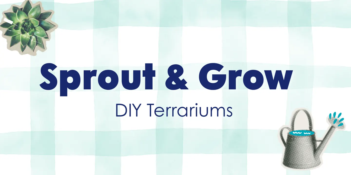Sprout and Grow: DIY Terrariums Bonus Session
