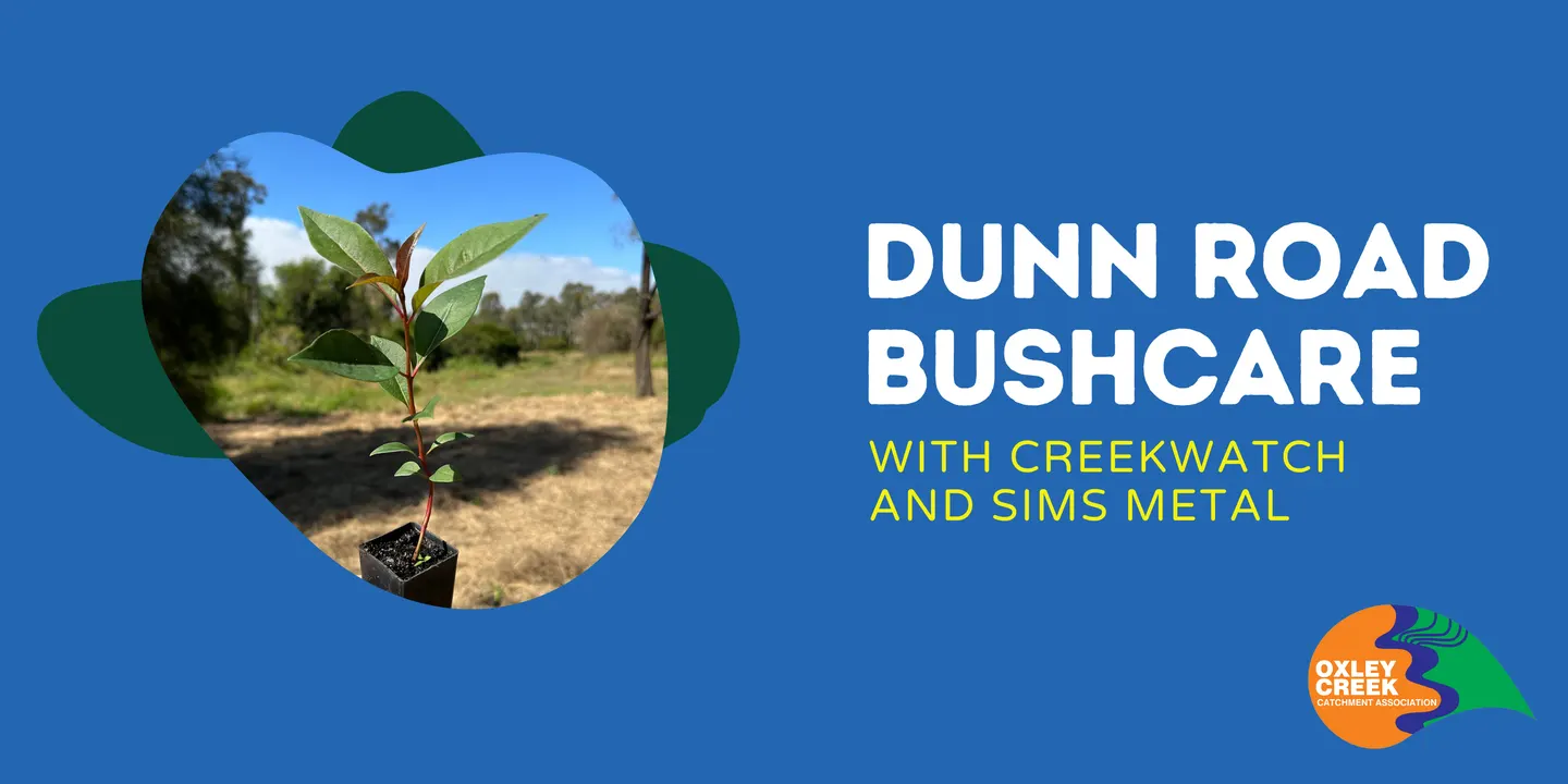 Dunn Road Bushcare