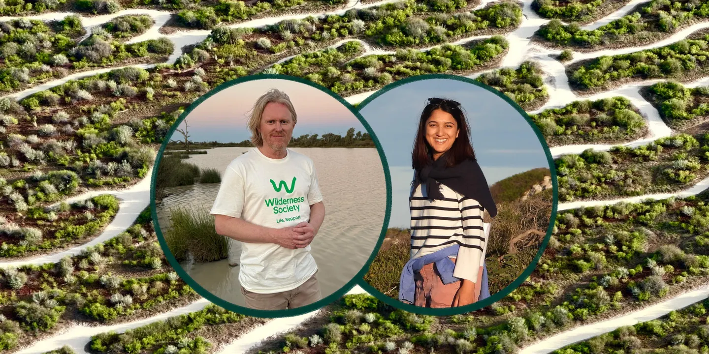 Stories Of Hope For Wilderness