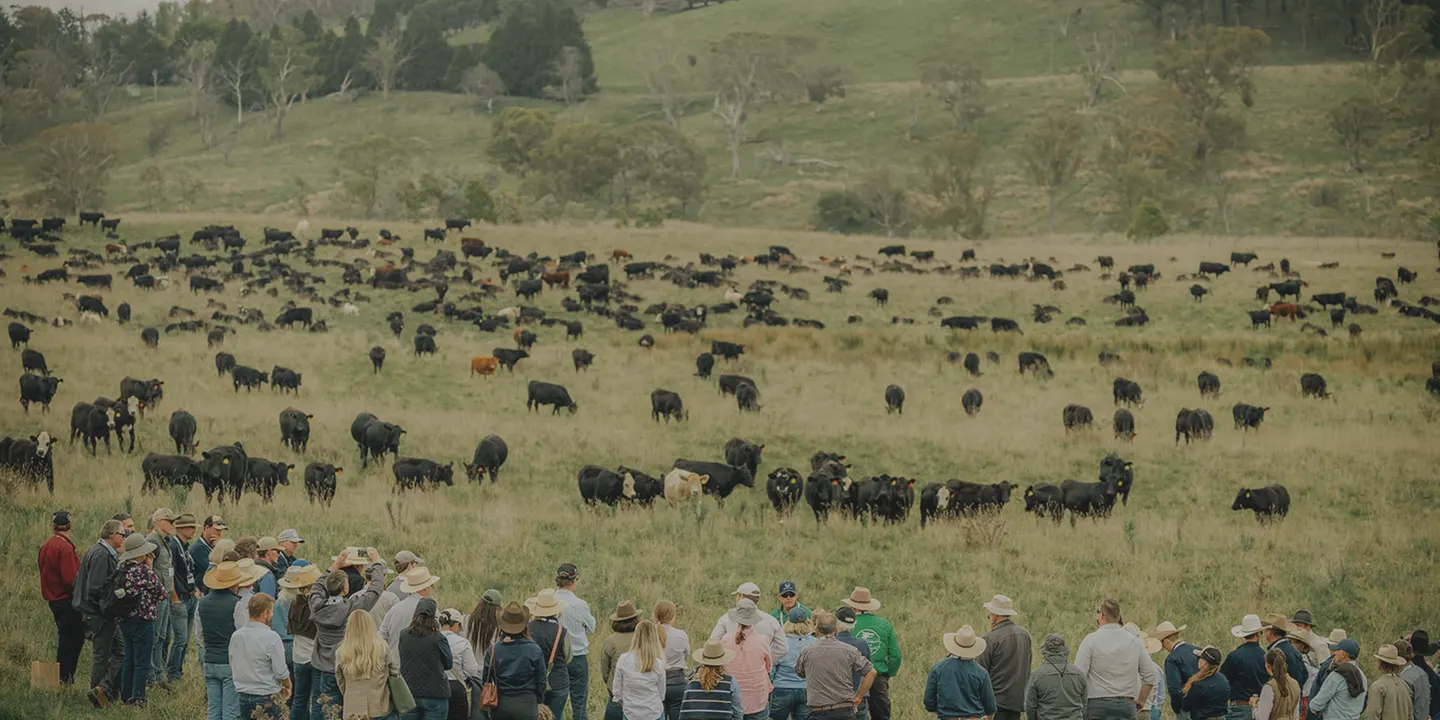 Dr Allen Williams Adaptive Grazing Workshop at CAVAN - YASS