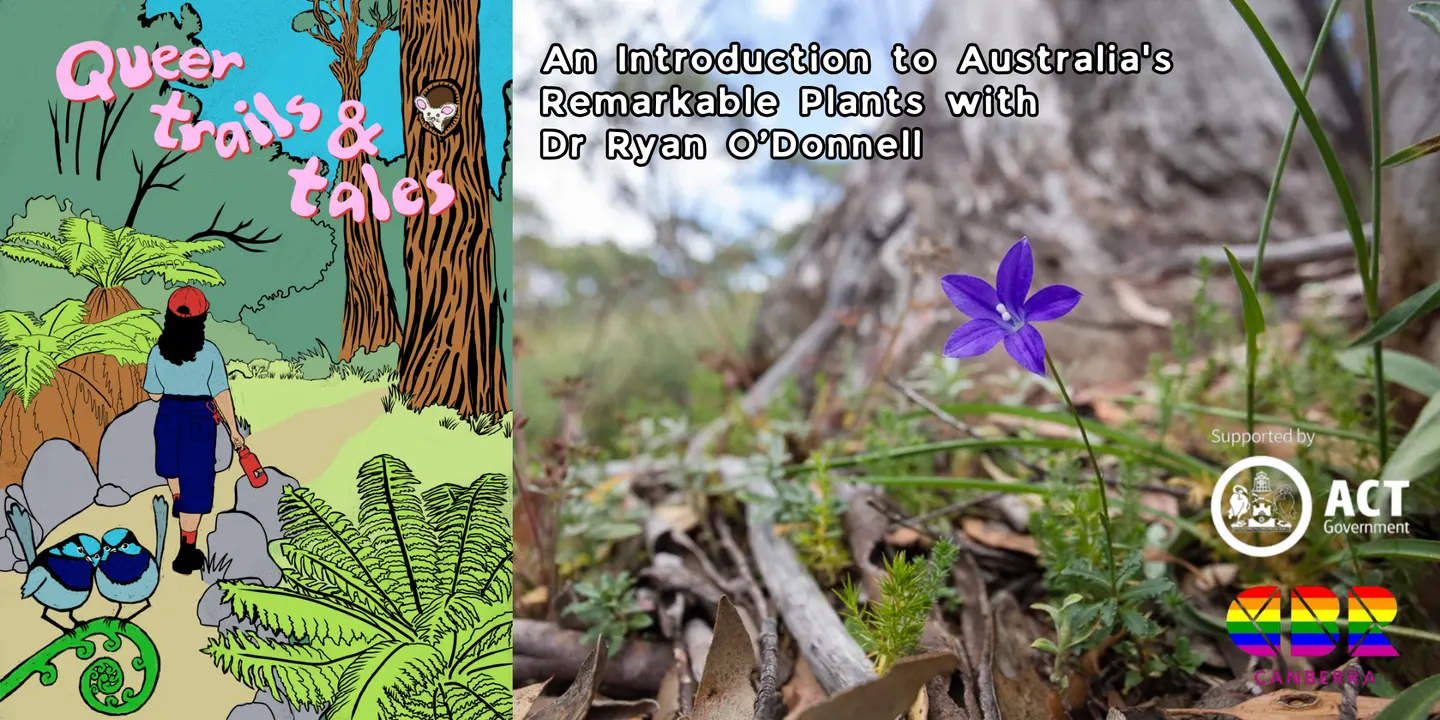 An Introduction to Australia's Remarkable Plants