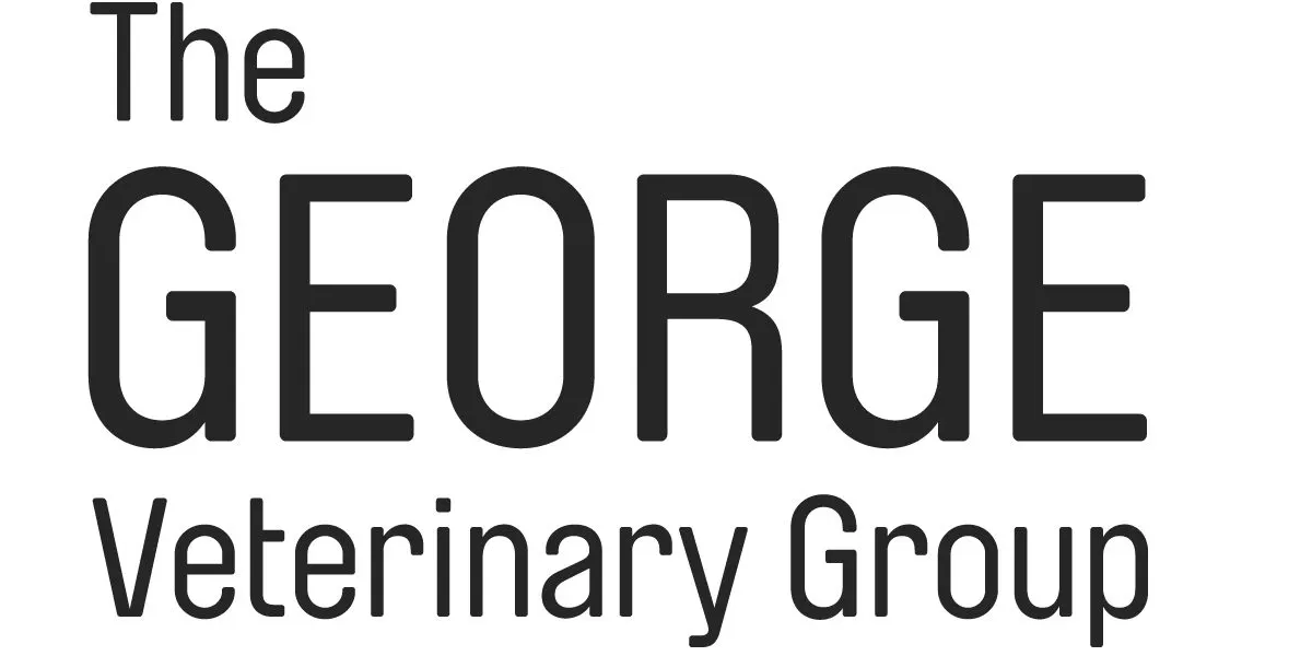 George Vet Group - Cow Convention