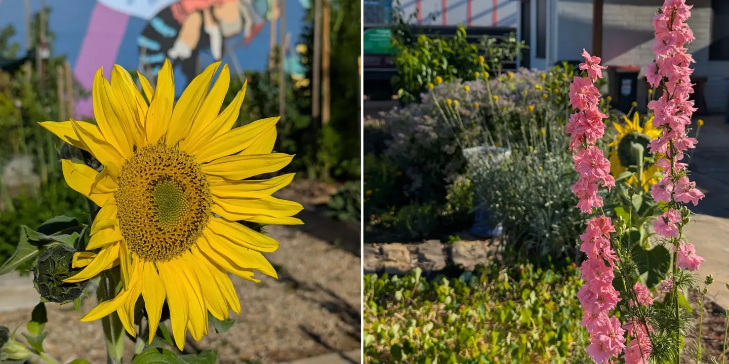 Community Gardens Bus Tour