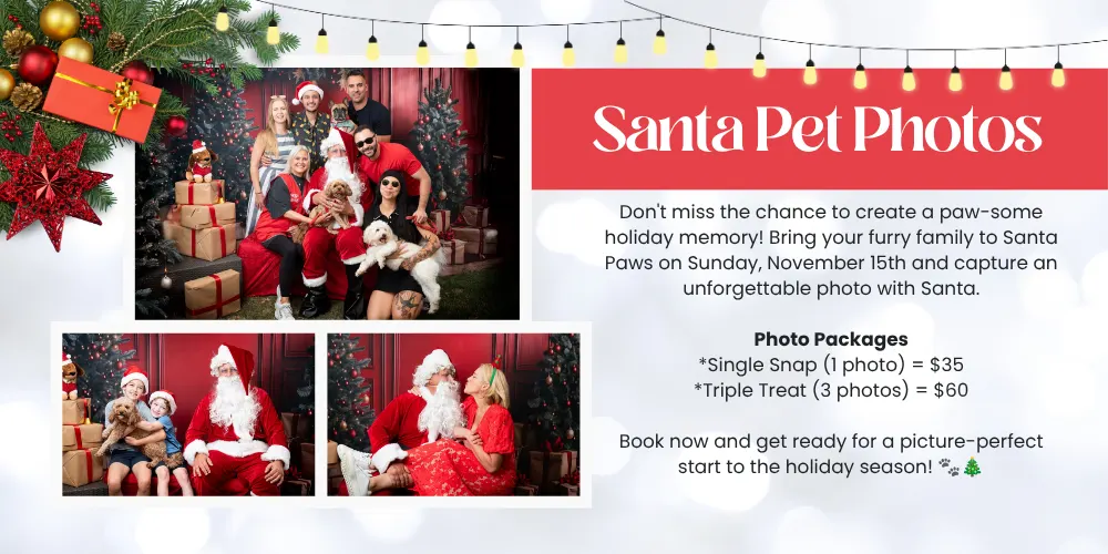 (11:40am - 12pm) Santa Paws 2026: Santa Pet Photos
