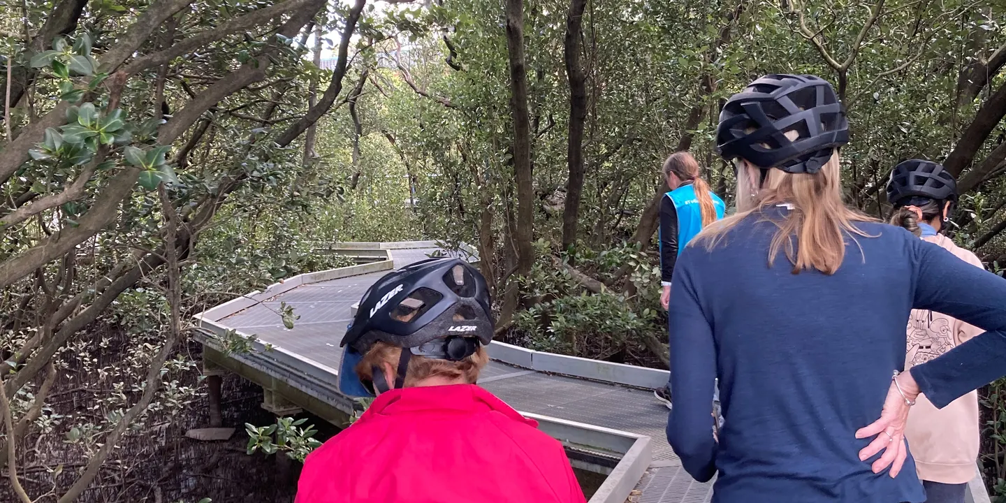 RiverFest: Mangrove Meander and Morning Tea