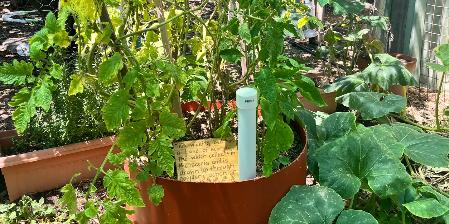 Heat Proofing Your Garden