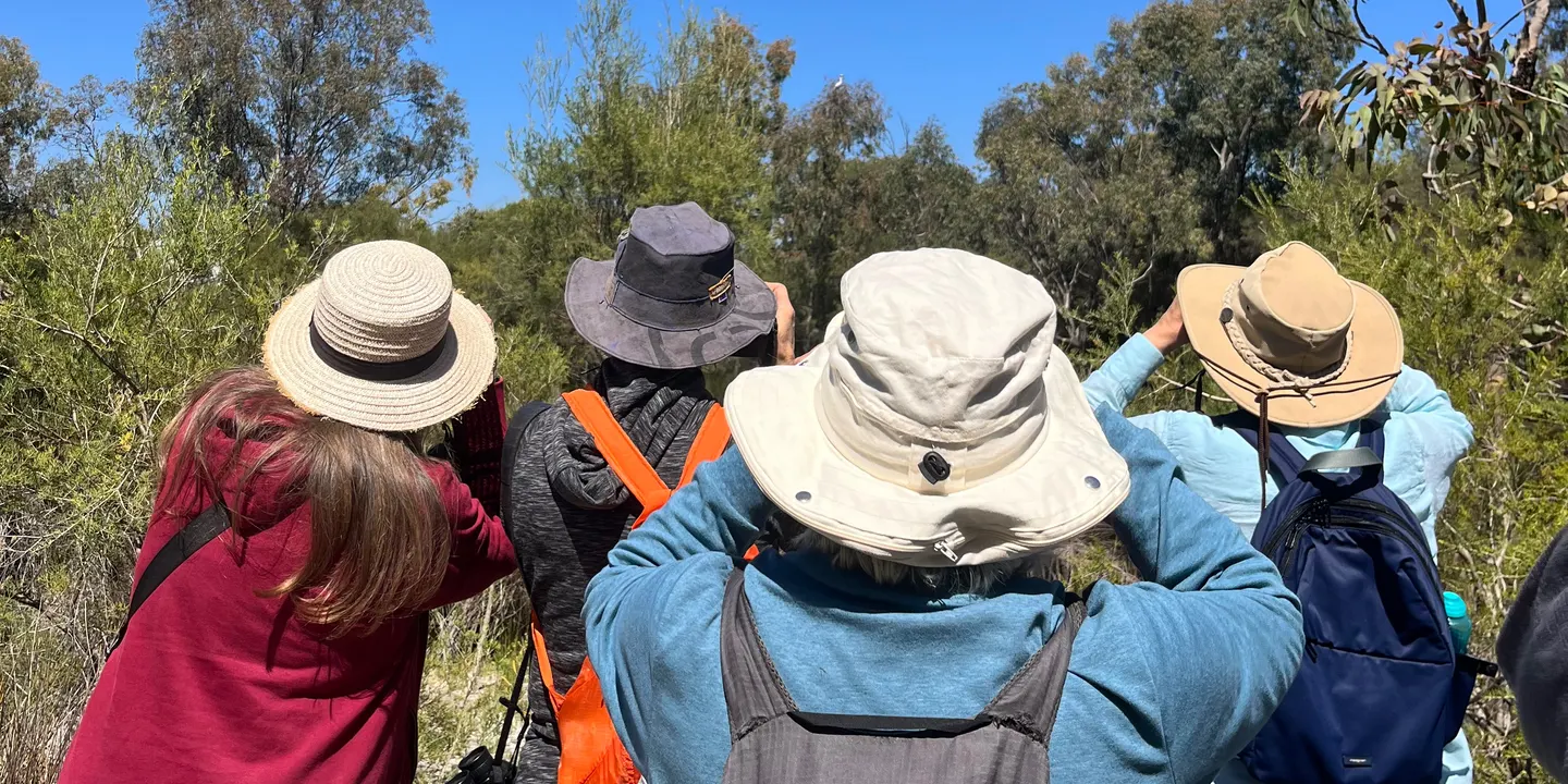Birdlife WA Talk and Walk through Eric Singleton Bird Sanctuary