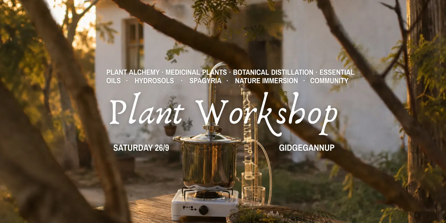 Workshop: Plant destilation Hydrosol & Essential Oil