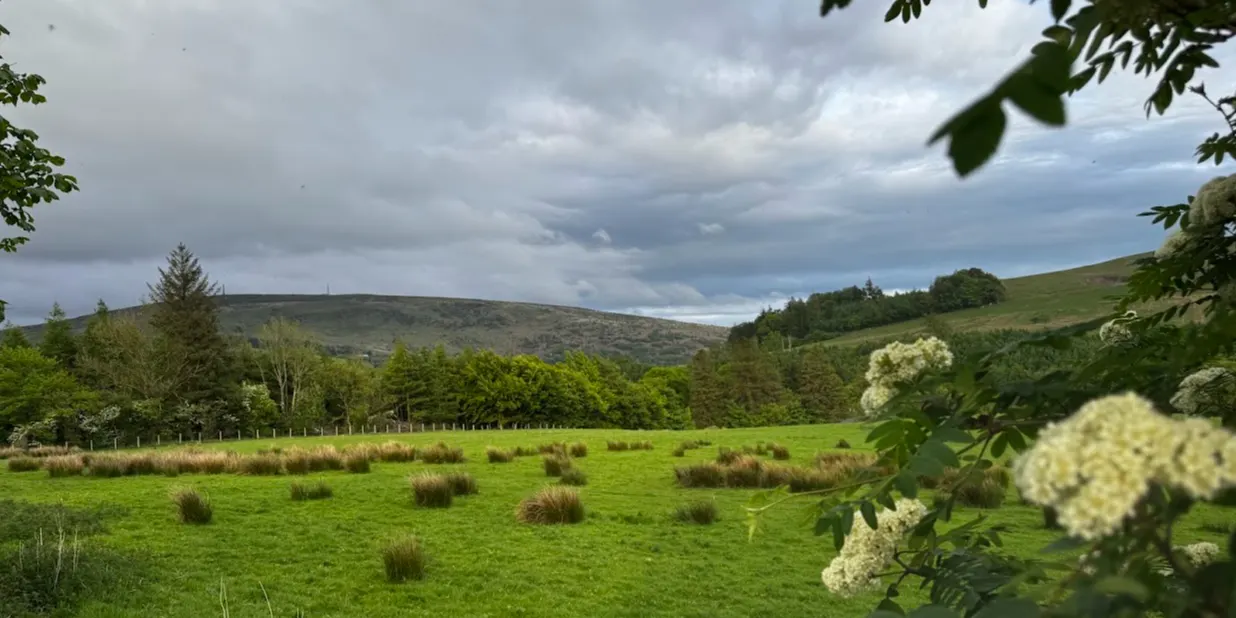 Autumn in Langholm - A Town-Edge Ecology Experience