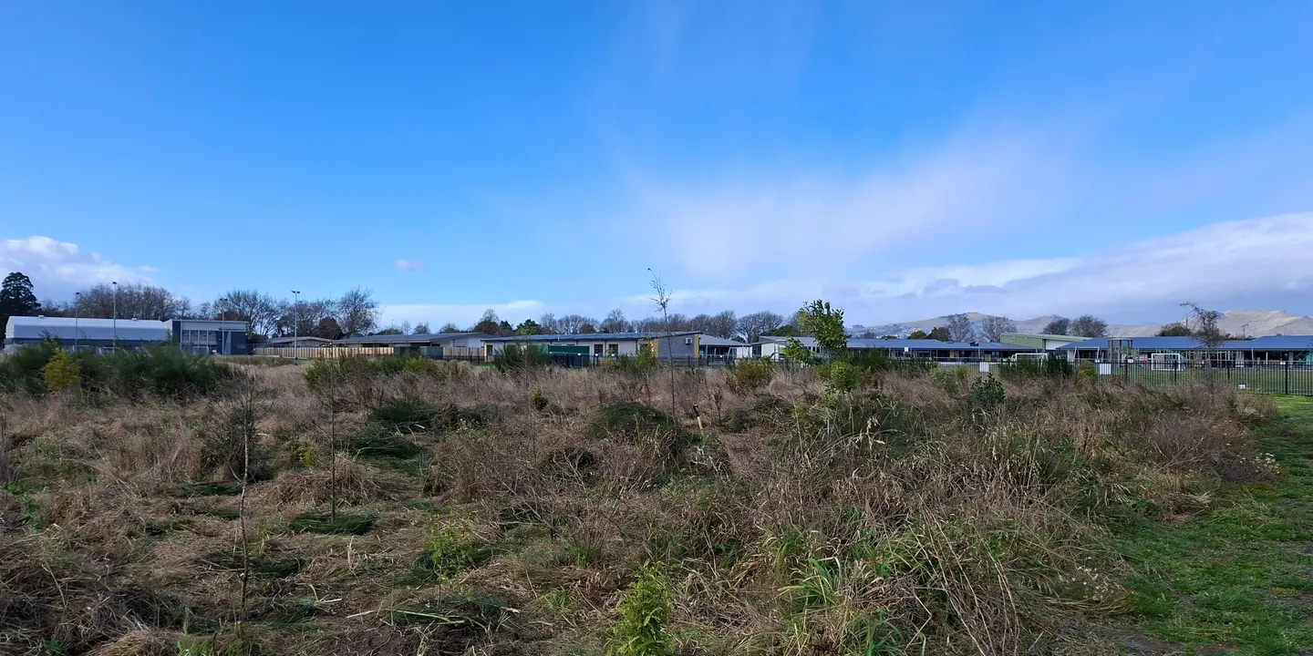 Pareawa Banks Avenue School restoration event