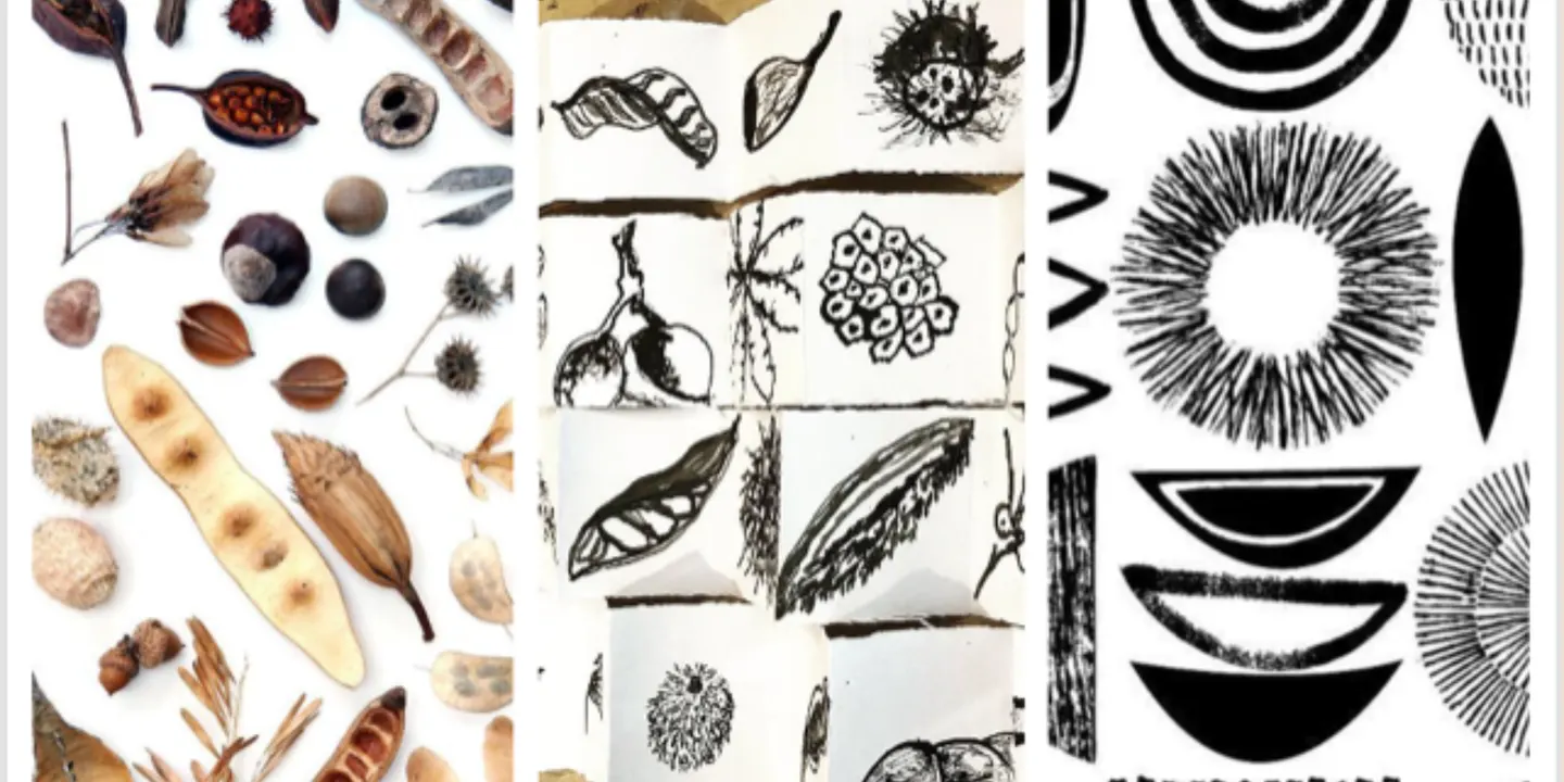 The Hidden Beauty of Seeds With Ink and Watercolour Wash