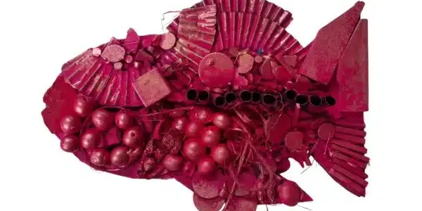 Wild Things: Recycled Creature Creations