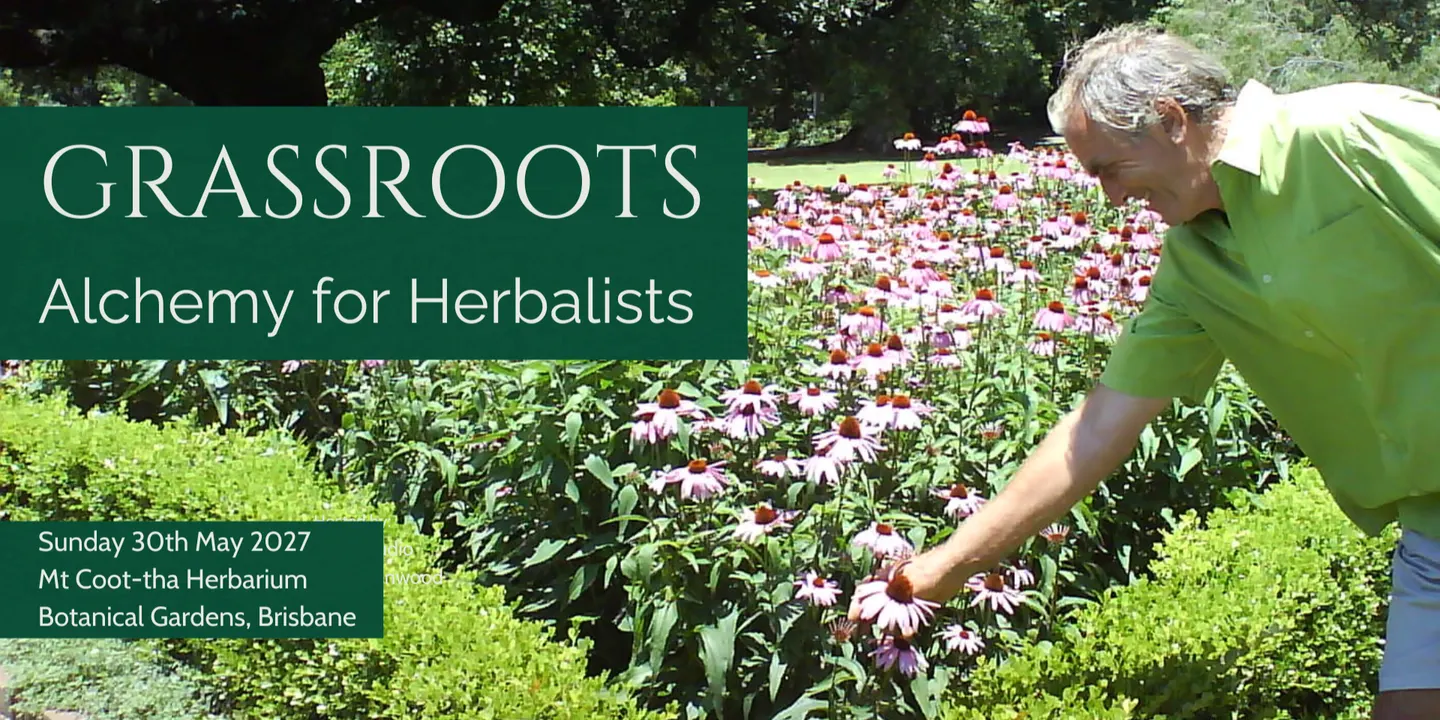 Grassroots: Botany for Herbalists 2027