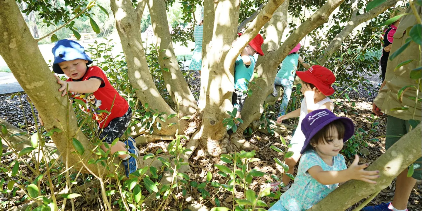 Introduction to Outdoor Learning, Bush School and Nature Play 2026