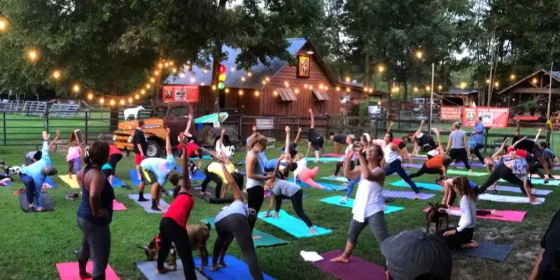 Goat Yoga on the Farm