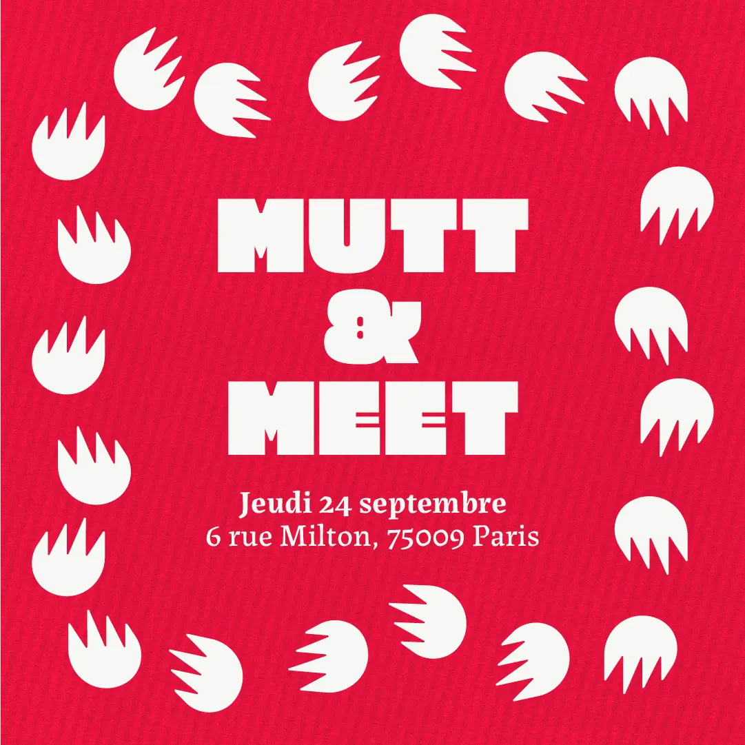 MUTT & MEET - Back to school !