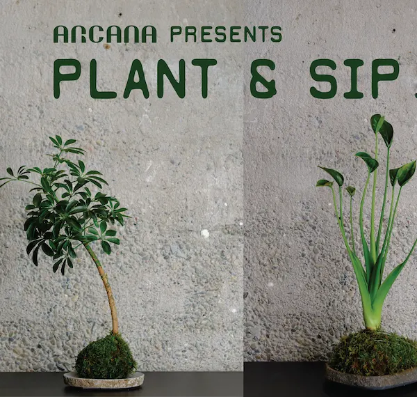 Japanese Art of Kokedama Making - Workshop