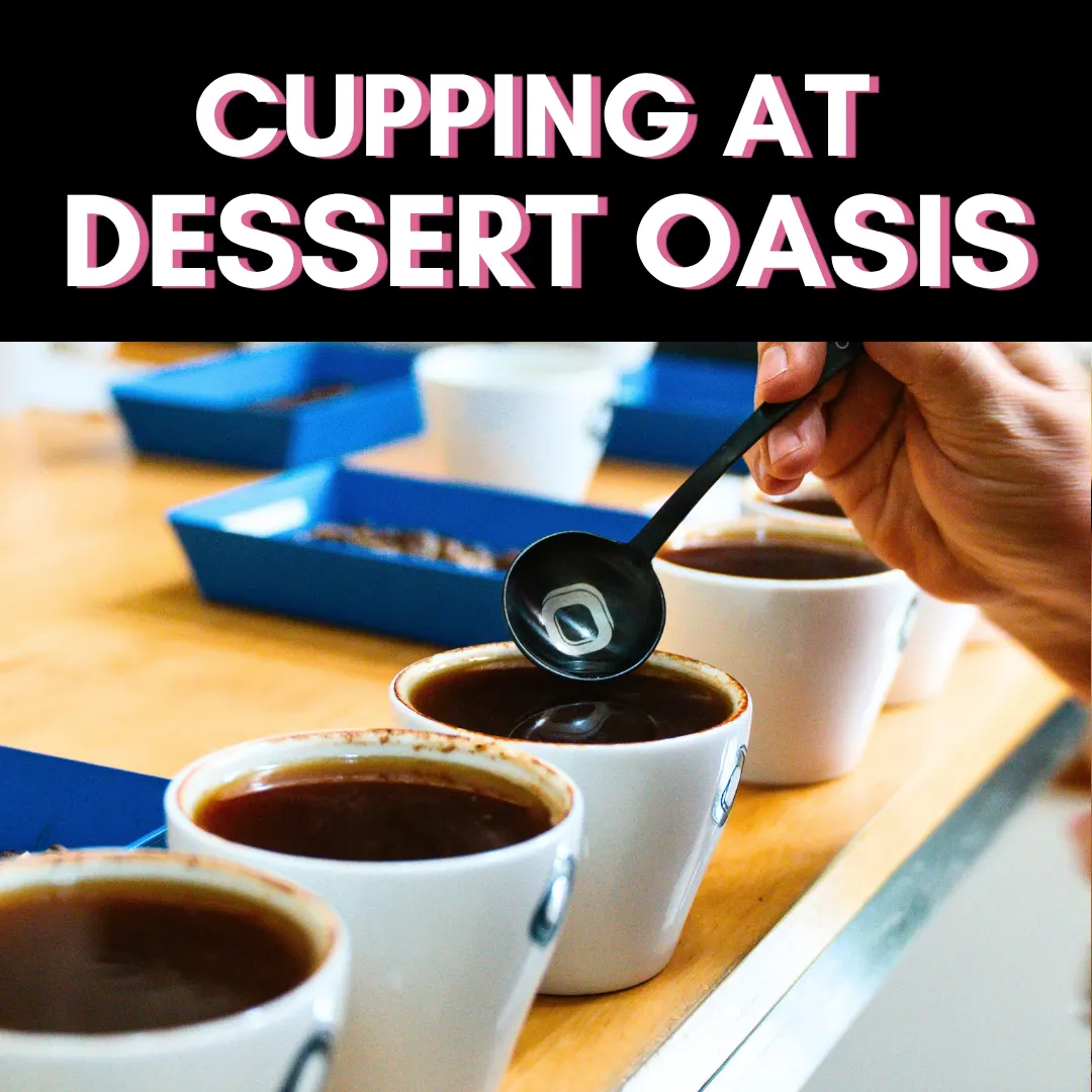 ONYX CUPPING
