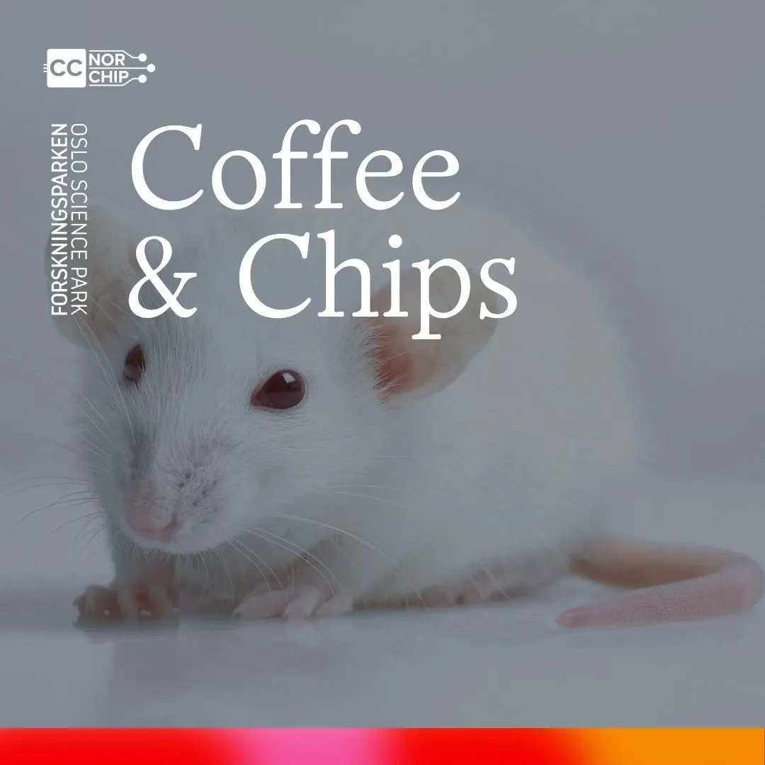 Coffee & Chips: BrainChip