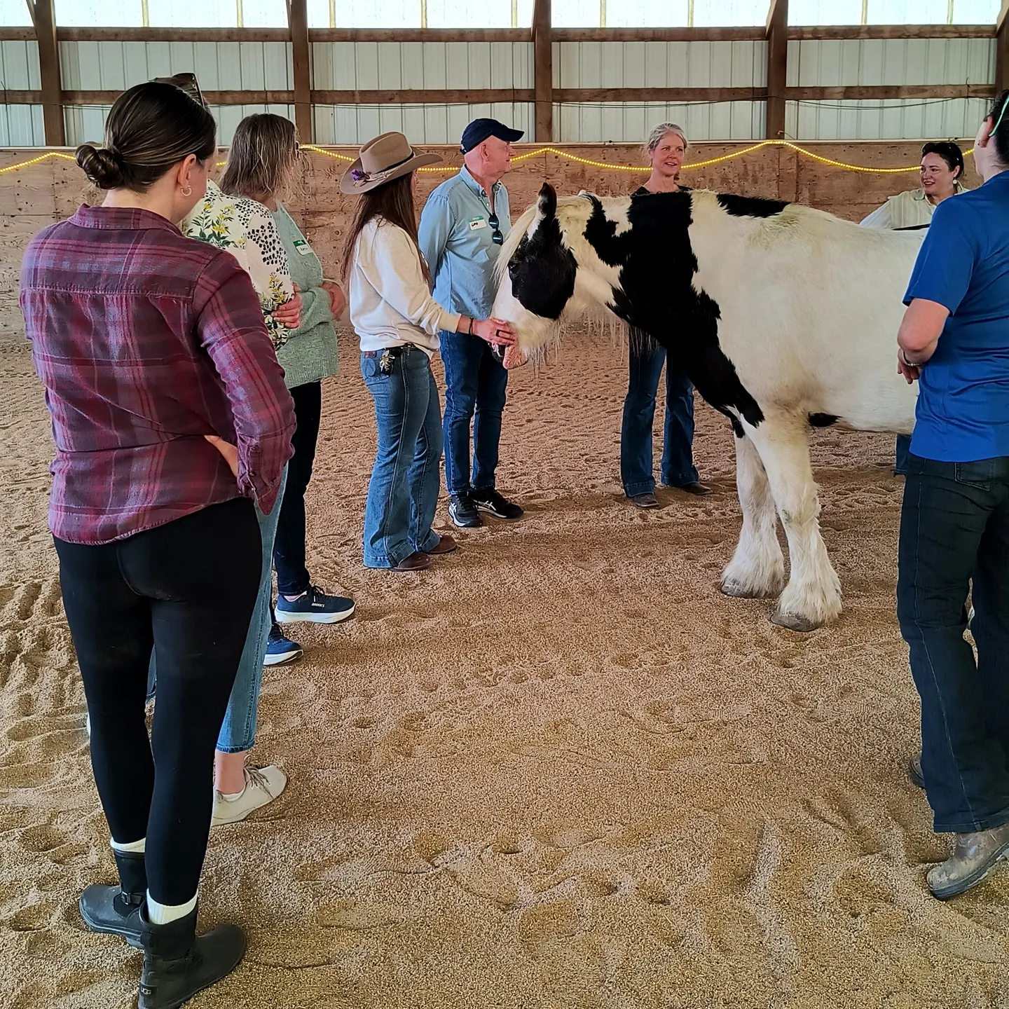 Medicine Horse Happy Hour at the Ranch