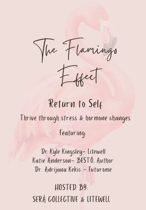 The Flamingo Effect - Return To Self
