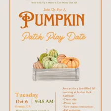 Pumpkin Patch