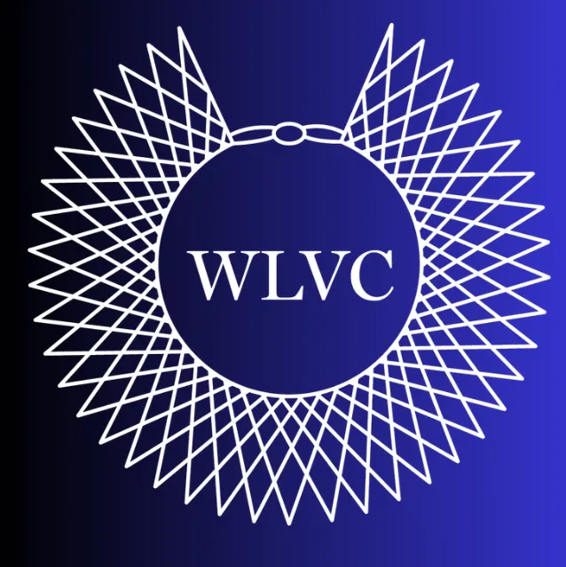WLVC & SBWL Mixer: Mentorship Match Event