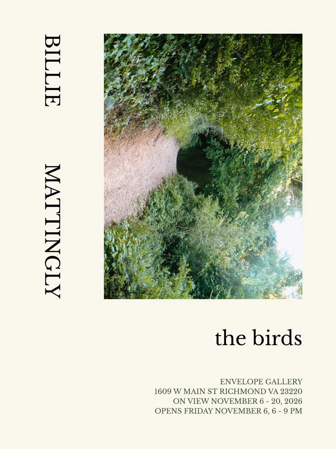 The Birds, photographs by Billie Mattingly