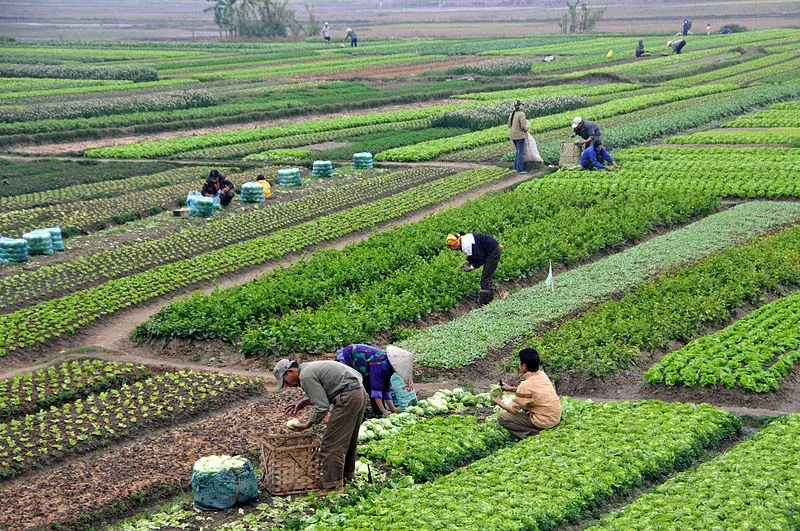 In Conversation with Raj Patel, co-chair of IPES-Food