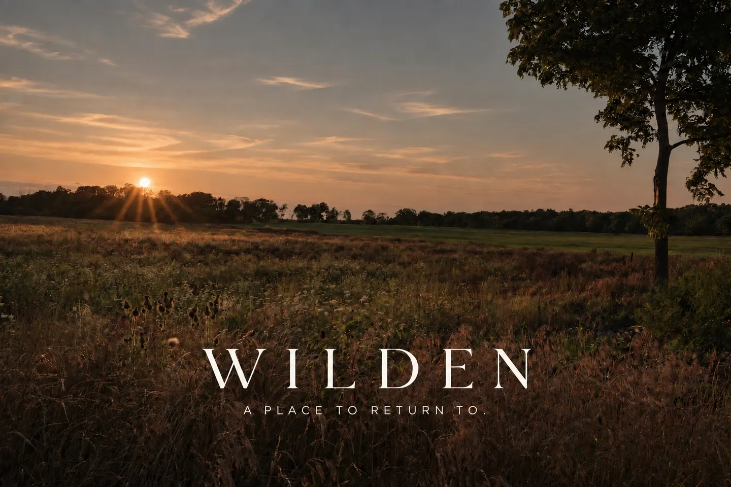 An Evening with Wilden