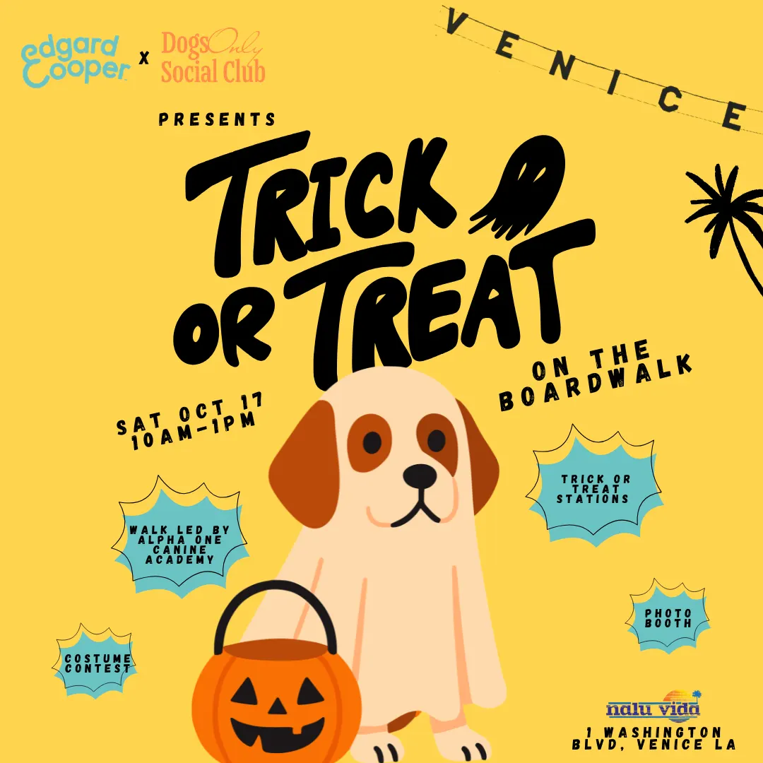 Trick or Treat on the Boardwalk ๐