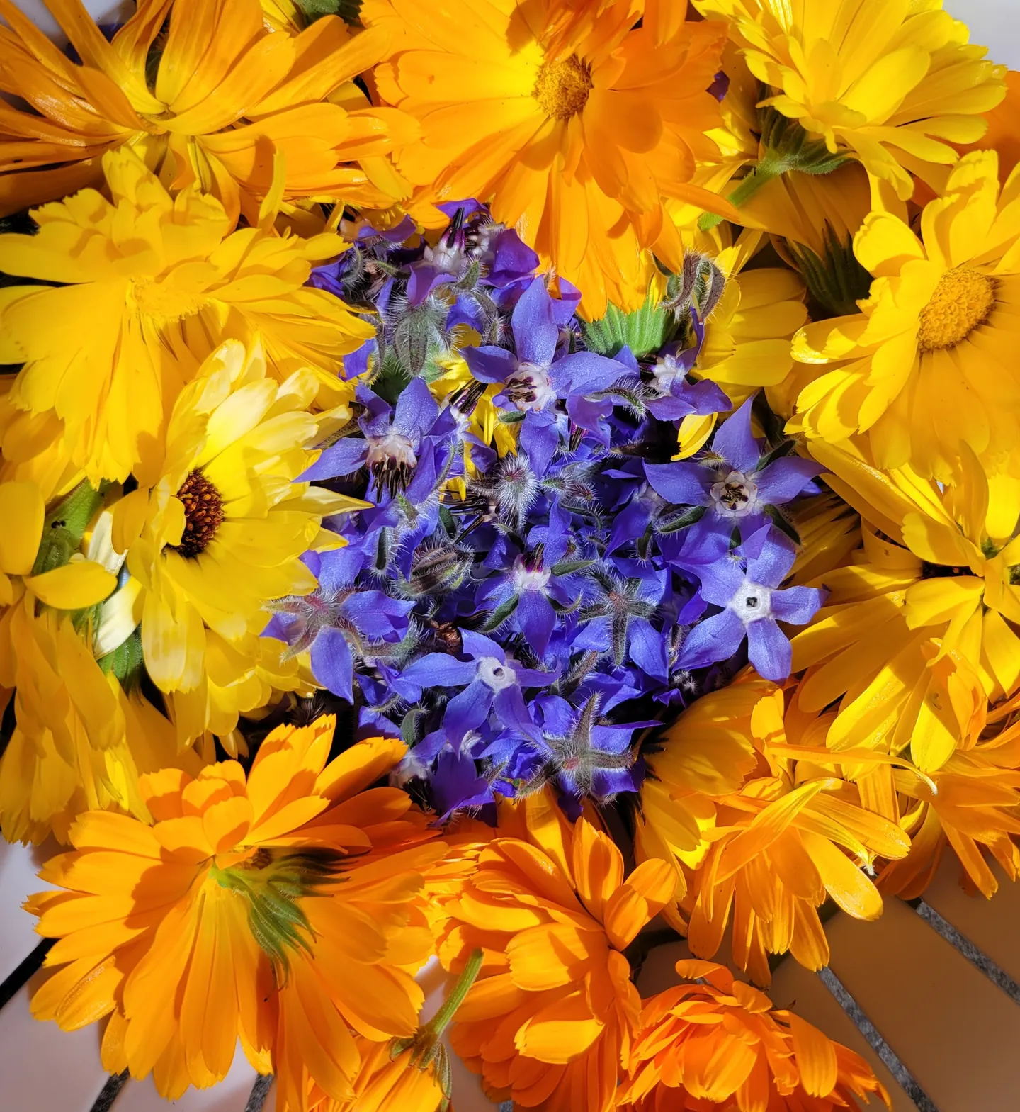 November Women's Circle