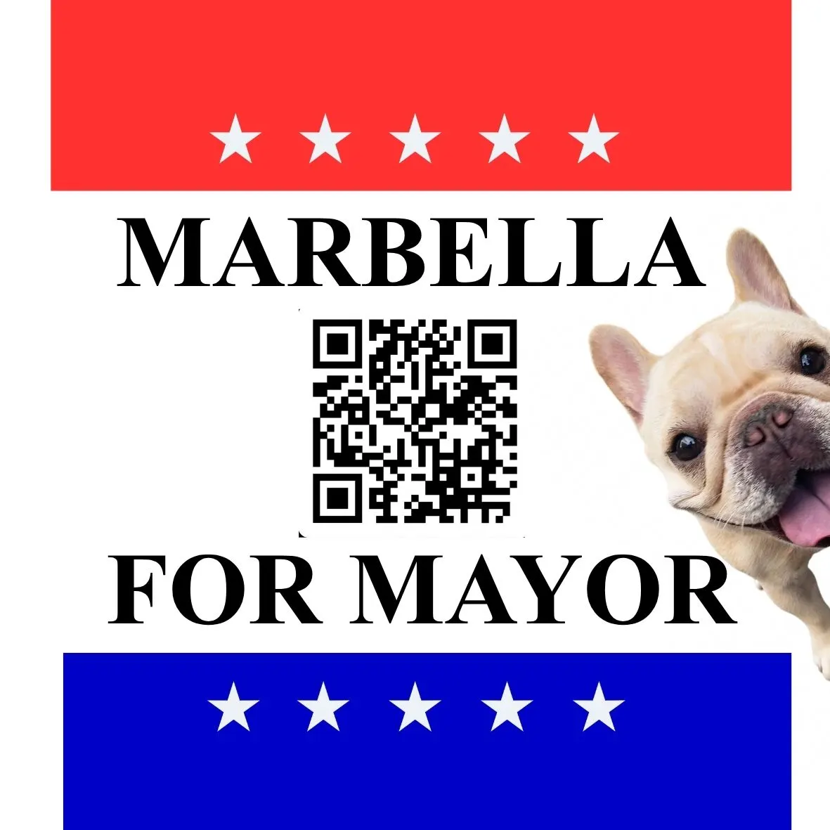 Marbella for Mayor: Dog Meetup with Hound Honey + Dog Wash Club