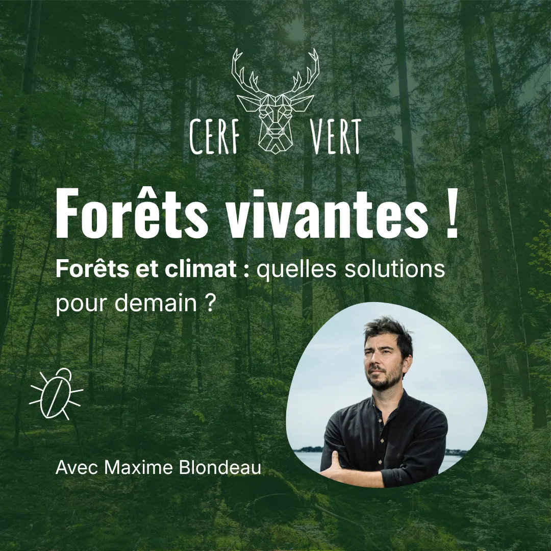 Pour des forêts vivantes ! avec Maxime Blondeau