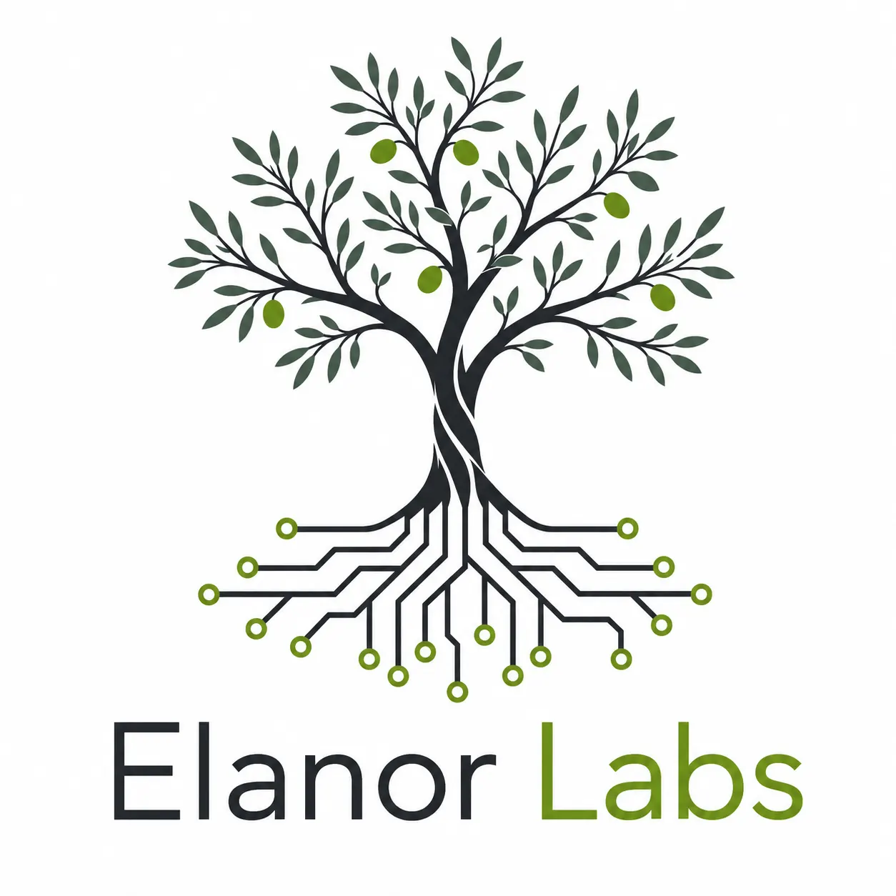 Elanor Labs Launch Party