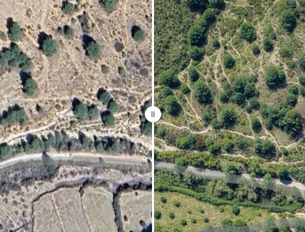 Sewing The Landscape: Creating Thriving Landscapes to break the Drought, Fire, Flood Cycle.