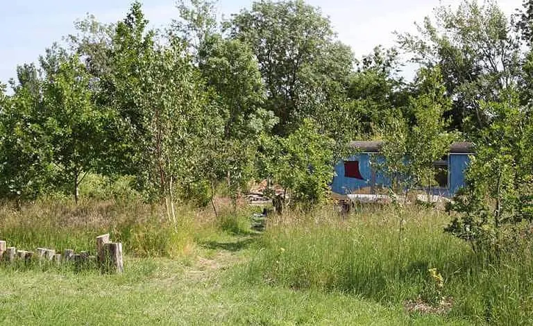 Inspiratiemiddag Ondernemen in Voedselbos De Groene Oase