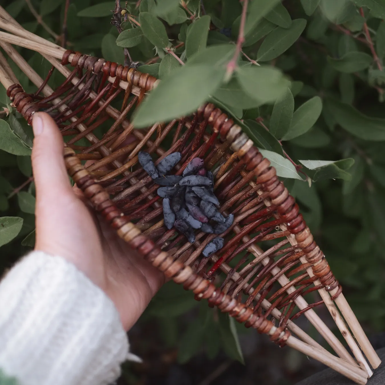 Gathering Tray
