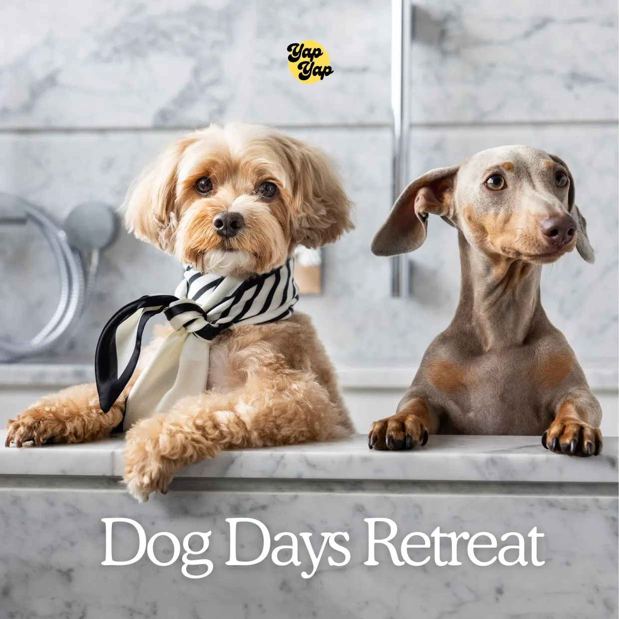 Dog Days Retreat