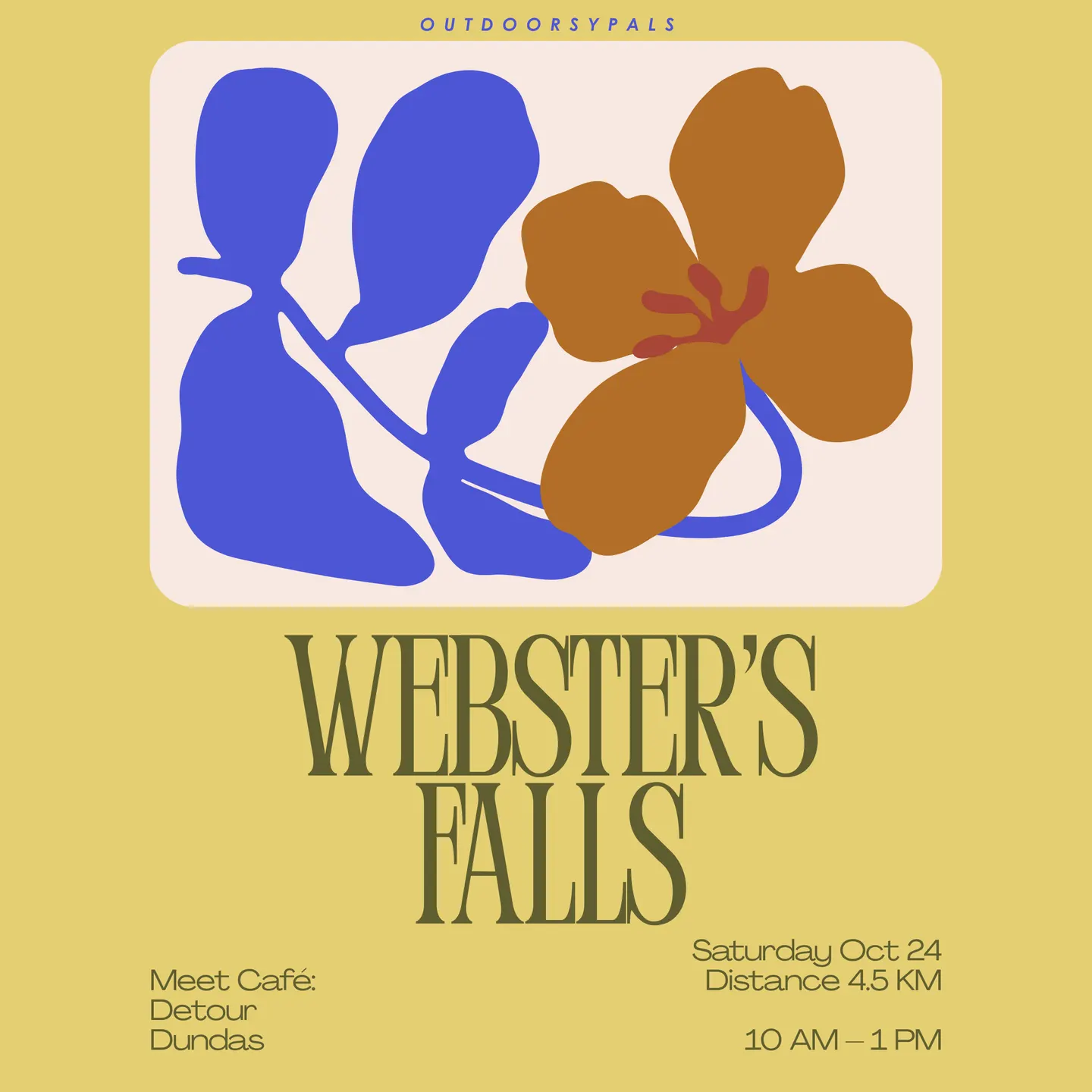 Outdoorsypals ⟡ Webster's Falls Hike