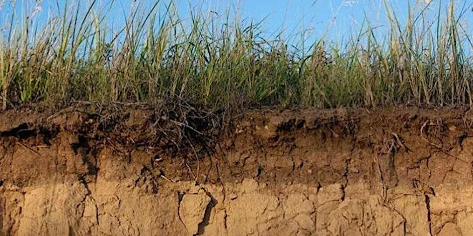 Living Soils Workshop