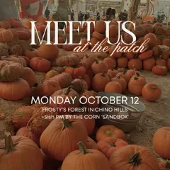 PMM PUMPKIN PATCH