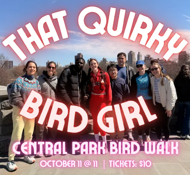 Discover the Birds in Central Park 🦆