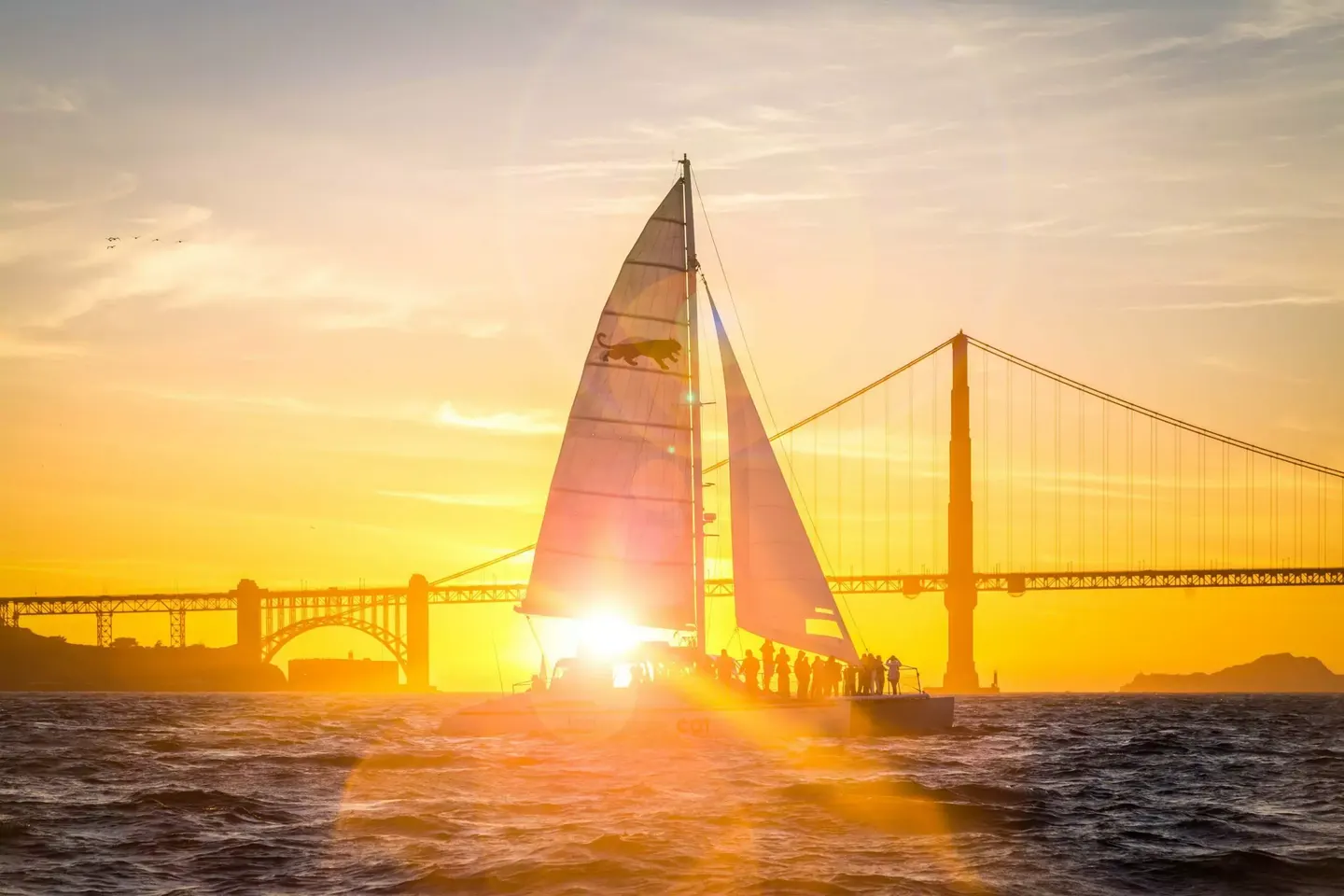 Sailing Sunset Dinner Cruise in the Bay