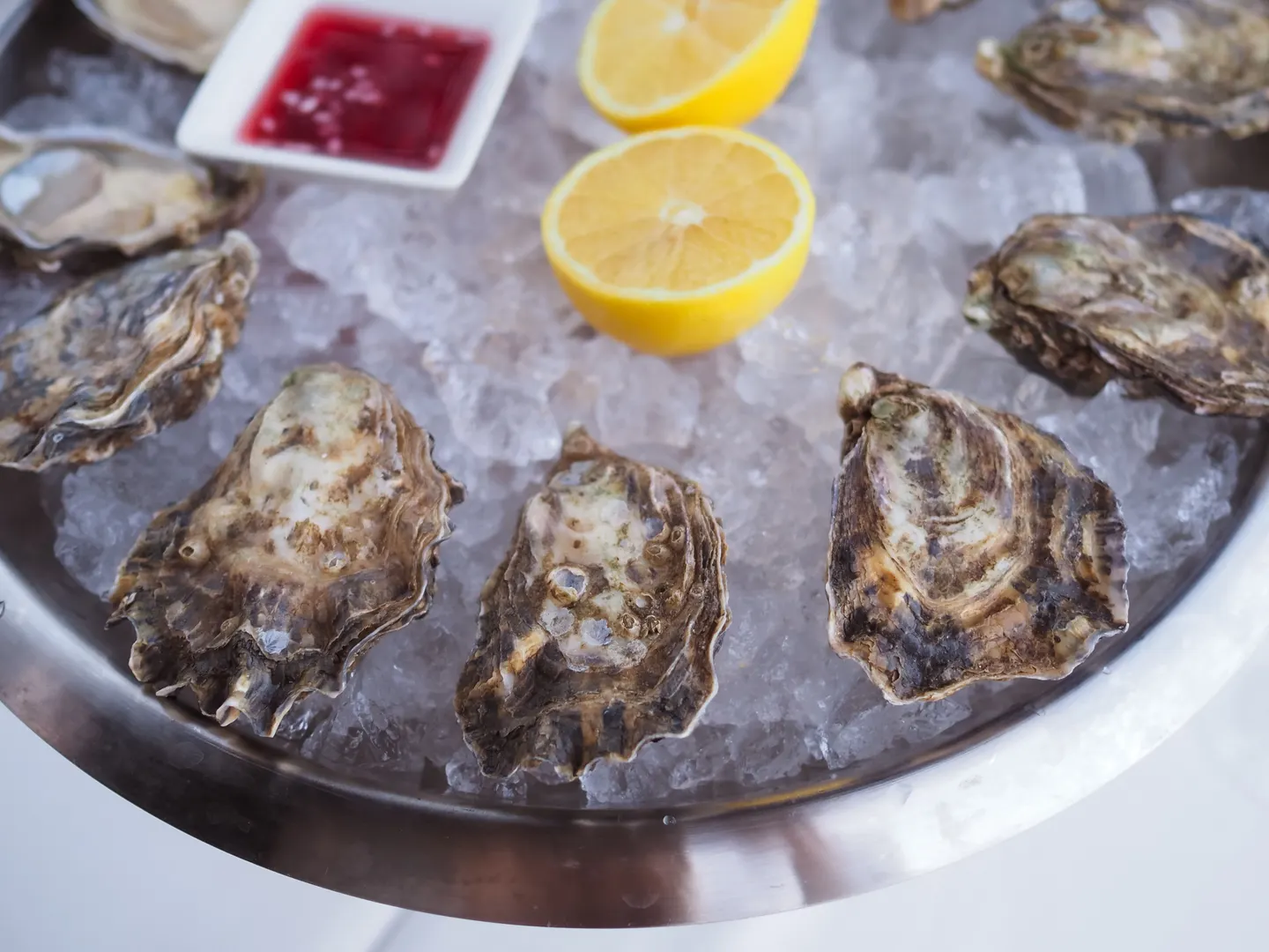 Social Hour with Billion Oyster Project